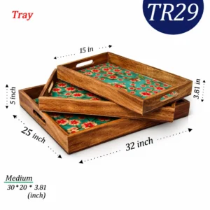 TR29