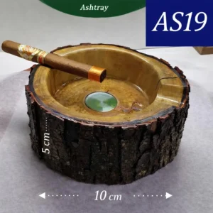 AS19