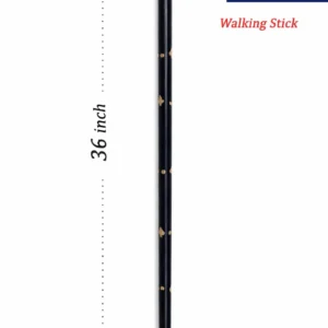 ST24